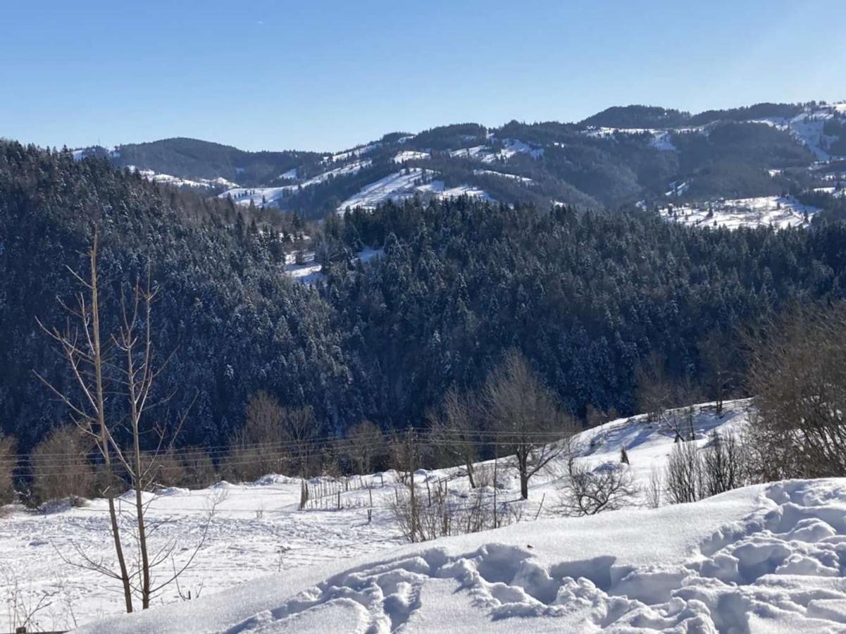 Pensiunea Amalia Gîrda de Sus Exterior foto