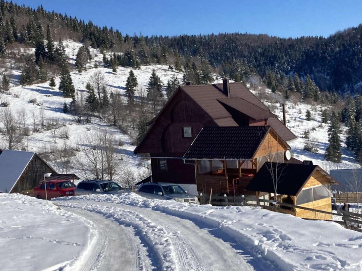 Pensiunea Amalia Gîrda de Sus Exterior foto