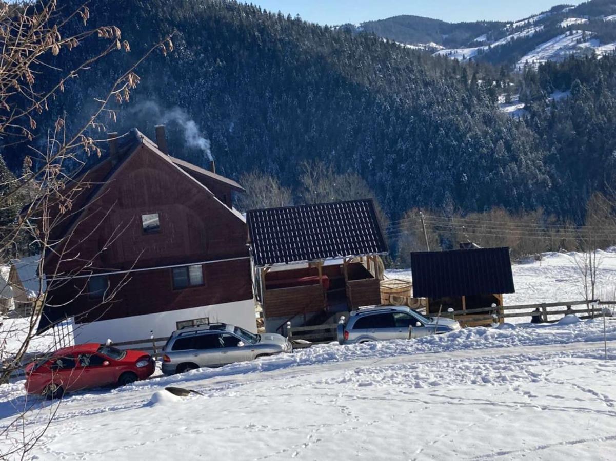 Pensiunea Amalia Gîrda de Sus Exterior foto