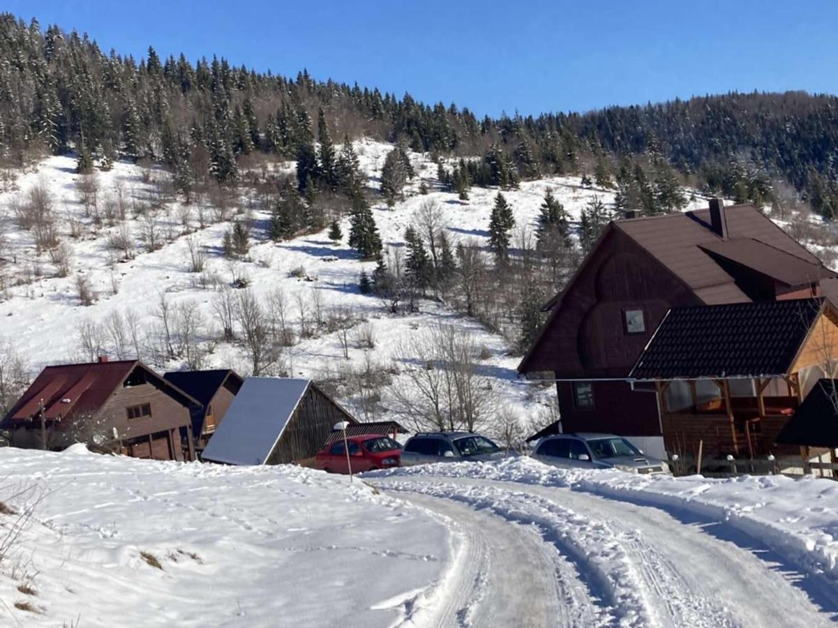 Pensiunea Amalia Gîrda de Sus Exterior foto