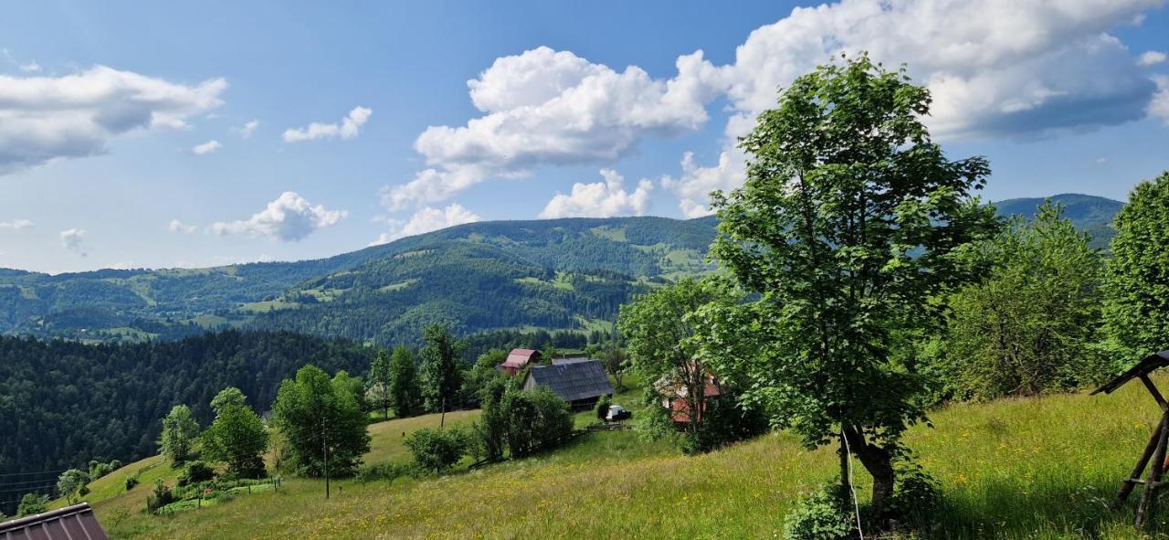 Pensiunea Amalia Gîrda de Sus Exterior foto