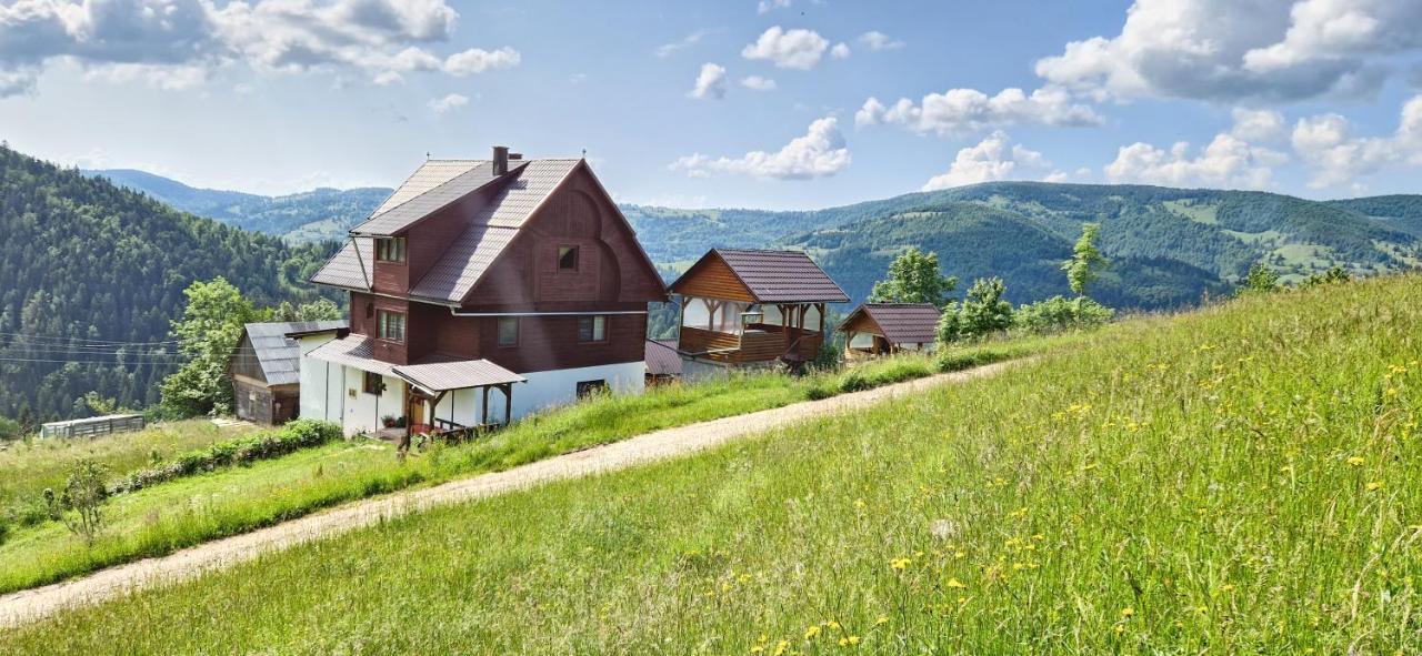 Pensiunea Amalia Gîrda de Sus Exterior foto