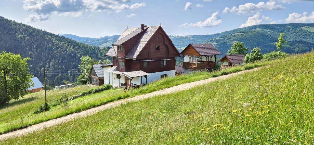 Pensiunea Amalia Gîrda de Sus Exterior foto